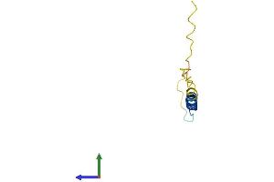 Protein Structure (PS) image for XYD Domain Containing Ion Transport Regulator 2 (FXYD2) (AA 1-70) protein (Fc Tag) (ABIN7556881)