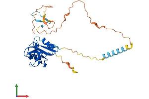 AlphaFold protein structure predicition of Mouse Recombinant Clec2g Protein, UniprotID Q9D676