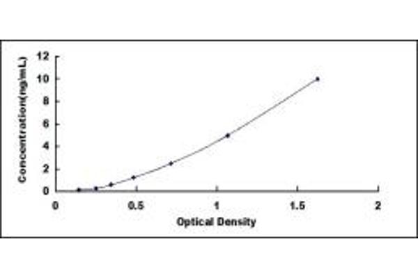CPA4 ELISA Kit