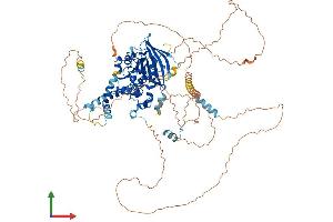 AlphaFold protein structure predicition of Human Recombinant TGS1 Protein, UniprotID Q96RS0
