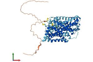 AlphaFold protein structure predicition of Mouse Recombinant Slc7a8 Protein, UniprotID Q9QXW9