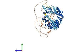 AlphaFold protein structure predicition of Mouse Recombinant Ift88 Protein, UniprotID Q61371