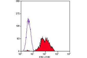 Staining of human peripheral blood lymphocytes with MOUSE ANTI HUMAN CD29 (SMS1578P). (ITGB1 antibody)