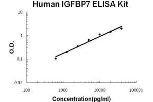 Human IGFBP7 PicoKine ELISA Kit standard curve (IGFBP7 ELISA Kit)