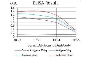 Black line: Control Antigen (100 ng), Purple line: Antigen(10 ng), Blue line: Antigen (50 ng), Red line: Antigen (100 ng), (RhoF antibody  (AA 1-84))