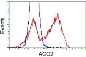HEK293T cells transfected with either pCMV6-ENTRY ACO2 (RC204307) (Red) or empty vector control plasmid (Blue) were immunostained with anti-ACO2 mouse monoclonal (ABIN2452695), and then analyzed by flow cytometry. (ACO2 antibody)