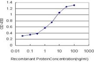 Detection limit for recombinant GST tagged CAMKK2 is approximately 0. (CAMKK2 antibody  (AA 1-130))