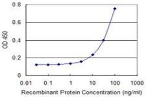 Detection limit for recombinant GST tagged FOXC2 is 1 ng/ml as a capture antibody. (FOXC2 antibody  (AA 156-256))