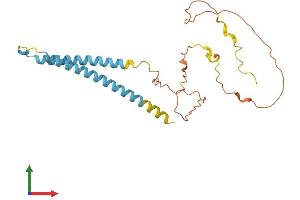 AlphaFold protein structure predicition of Human Recombinant MYCT1 Protein, UniprotID Q8N699 (Myc Target 1 Protein (MYCT1) (AA 1-235) (His tag))
