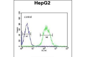 Flow cytometric analysis of HepG2 cells (right histogram) compared to a negative control cell (left histogram). (SFRS16 antibody  (AA 254-283))