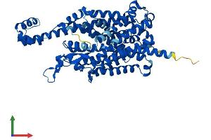 AlphaFold protein structure predicition of Mouse Recombinant Slc6a20a Protein, UniprotID Q8VDB9 (Slc6a20a Protein (AA 1-592) (His tag))