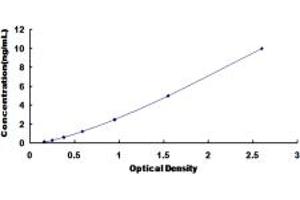 Typical standard curve (F2RL1 ELISA Kit)