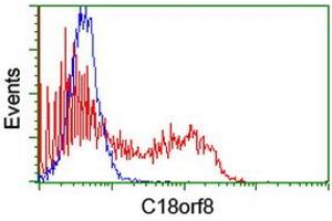 Image no. 2 for anti-Chromosome 18 Open Reading Frame 8 (C18orf8) antibody (ABIN1497027) (C18orf8 antibody)