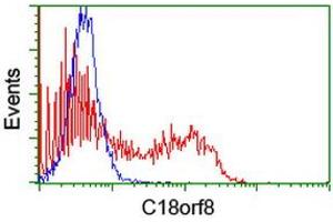 Image no. 2 for anti-Chromosome 18 Open Reading Frame 8 (C18orf8) antibody (ABIN1497027) (C18orf8 antibody)