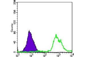 FC analysis of Jurkat cells using anti-CD247 antibody (green) and negative control (purple). (CD247 antibody)