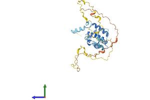 AlphaFold protein structure predicition of Mouse Recombinant Cnn3 Protein, UniprotID Q9DAW9
