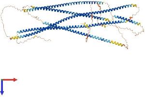 Family with Sequence Similarity 184, Member B (FAM184B) (AA 1-942) protein (His tag)