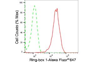 Flow cytometric analysis of Ring-box 1 expression in H9c2 cells using Ring-box 1 antibody (ABIN7800254), 1:2,000).