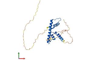 Protein Structure (PS) image for Nuclear Transcription Factor Y, beta (NFYB) (AA 1-207) protein (His tag) (ABIN7549700)