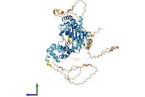 AlphaFold protein structure predicition of Human Recombinant RIPK1 Protein, UniprotID Q13546 (RIPK1 Protein (AA 1-671) (His tag))