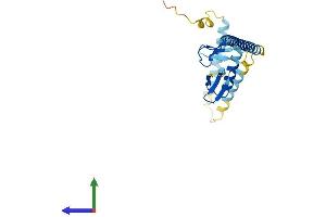 Protein Structure (PS) image for RPA Interacting Protein (RPAIN) (AA 1-219) protein (His tag) (ABIN7551389)
