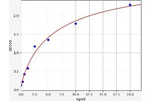 Typical standard curve (LOX ELISA Kit)