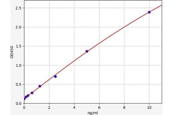 Deoxyuridine Triphosphatase (DUT) ELISA Kit
