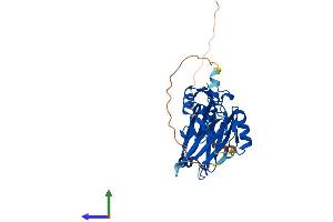 AlphaFold protein structure predicition of Mouse Recombinant Siah2 Protein, UniprotID Q06986
