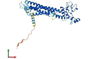 AlphaFold protein structure predicition of Mouse Recombinant Prph2 Protein, UniprotID P15499 (PRPH2 Protein (AA 1-346) (His tag))