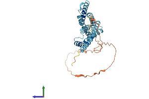 AlphaFold protein structure predicition of Human Recombinant EVPLL Protein, UniprotID A8MZ36 (Envoplakin-Like Protein (EVPLL) (AA 1-301) (His tag))