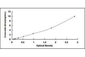 Typical standard curve (SELENBP1 ELISA Kit)