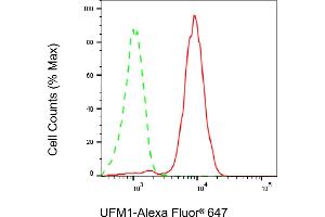 anti-Ubiquitin-Fold Modifier 1 (UFM1) antibody