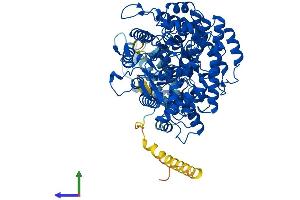 AlphaFold protein structure predicition of Human Recombinant RRM1 Protein, UniprotID P23921 (RRM1 Protein (AA 1-792) (His tag))