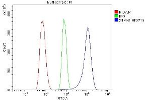 Flow Cytometry analysis of THP-1 cells using anti-Stathmin 1 antibody (ABIN3043301). (Stathmin 1 antibody  (N-Term))
