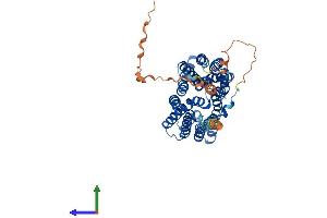 AlphaFold protein structure predicition of Mouse Recombinant Slc16a10 Protein, UniprotID Q3U9N9 (SLC16A10 Protein (AA 1-512) (His tag))
