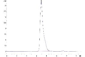 Size-exclusion chromatography-High Pressure Liquid Chromatography (SEC-HPLC) image for Glycophorin A (GYPA) (AA 1-108) protein (Fc Tag) (ABIN7274771)