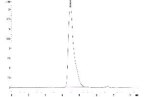The purity of Mouse GPA is greater than 95 % as determined by SEC-HPLC. (CD235a/GYPA Protein (AA 1-108) (Fc Tag))