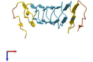 Keratin Associated Protein 12-2 (KRTAP12-2) (AA 1-146) protein (His tag)