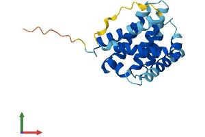 AlphaFold protein structure predicition of Mouse Recombinant Bax Protein, UniprotID Q07813 (BAX Protein (AA 1-192) (His tag))