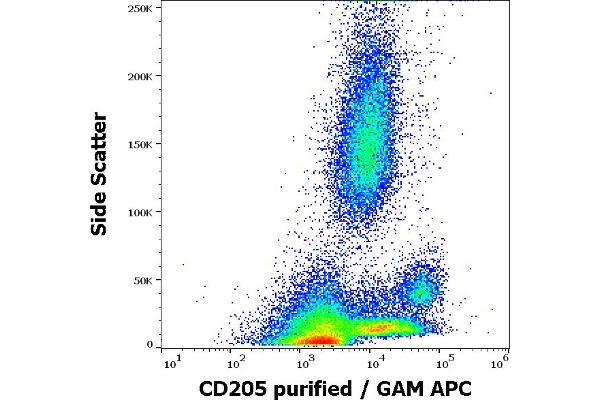 LY75/DEC-205 antibody