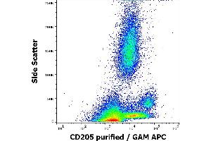 Flow cytometry surface staining pattern of human peripheral whole blood stained using anti-human CD205 (HD30) purified antibody (concentration in sample 0,6 μg/mL, GAM APC). (LY75/DEC-205 antibody)