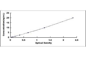 Typical standard curve