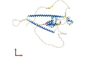 Protein Structure (PS) image for Runt-Related Transcription Factor 1, Translocated To, 1 (Cyclin D-Related) (RUNX1T1) (AA 1-577) protein (His tag) (ABIN7557748)
