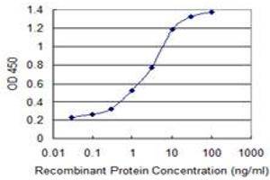 Detection limit for recombinant GST tagged JMJD1C is 0. (JMJD1C antibody  (AA 2-99))