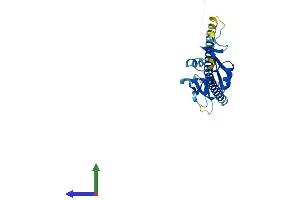 AlphaFold protein structure predicition of Mouse Recombinant Clec9a Protein, UniprotID Q8BRU4