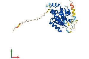 AlphaFold protein structure predicition of Human Recombinant BCDIN3D Protein, UniprotID Q7Z5W3 (BCDIN3D Protein (AA 1-292) (His tag))