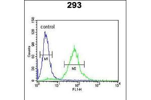 Flow cytometric analysis of 293 cells (right histogram) compared to a negative control cell (left histogram). (SETD8 antibody  (AA 220-249))