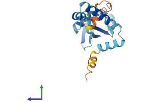 AlphaFold protein structure predicition of Human Recombinant UBL4A Protein, UniprotID P11441