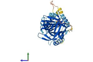 Protein Structure (PS) image for serpin Peptidase Inhibitor, Clade B (Ovalbumin), Member 13 (SERPINB13) (AA 1-389) protein (His tag) (ABIN7559258)
