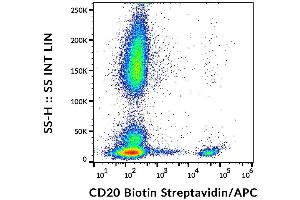Surface staining of human peripheral blood cells with anti-human CD20 (LT20) biotin, streptavidin-APC. (CD20 antibody  (Biotin))